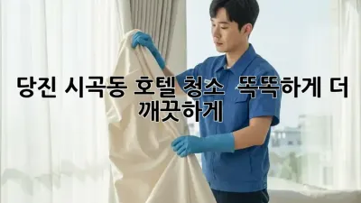 당진 시곡동 호텔 청소 ✨ 똑똑하게, 더 깨끗하게! 🤖